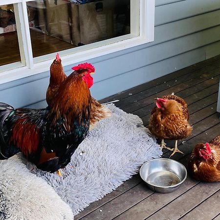 Farm Stay MAPLE Cottage at Wilindi Estate Tyabb Esterno foto