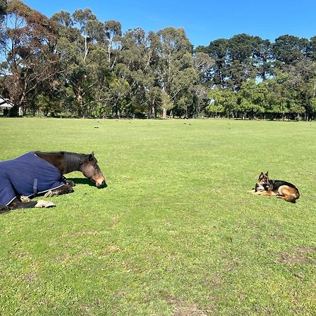 Farm Stay MAPLE Cottage at Wilindi Estate Tyabb Esterno foto