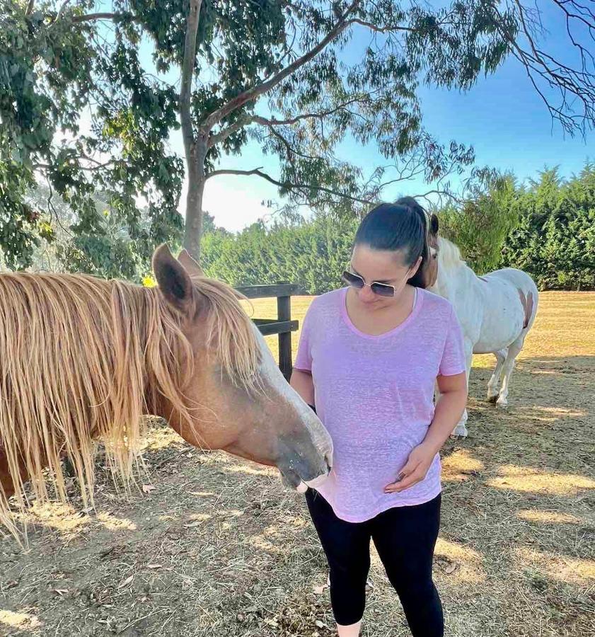 Farm Stay MAPLE Cottage at Wilindi Estate Tyabb Esterno foto