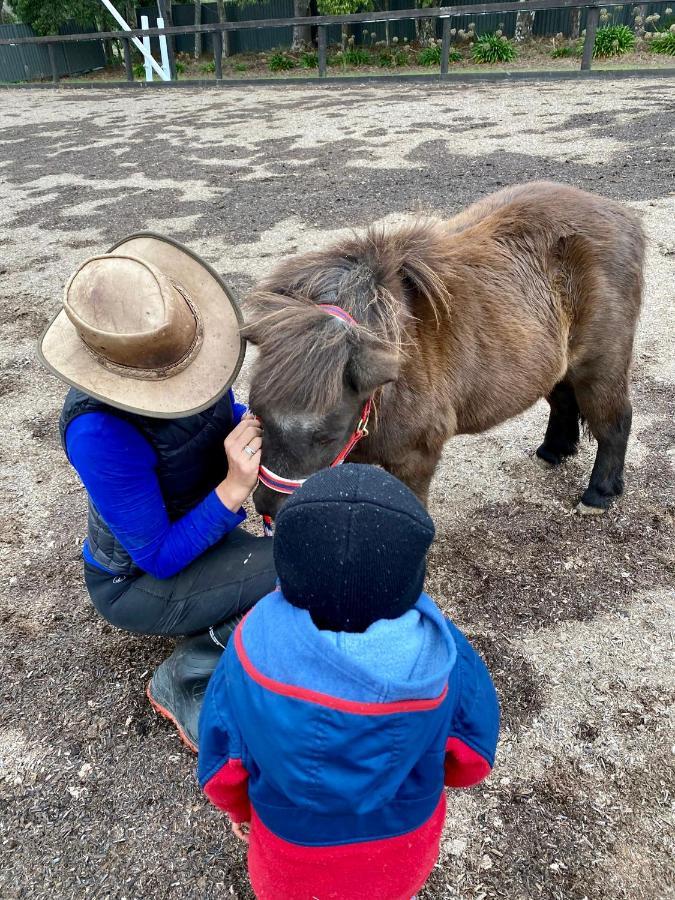 Farm Stay MAPLE Cottage at Wilindi Estate Tyabb Esterno foto
