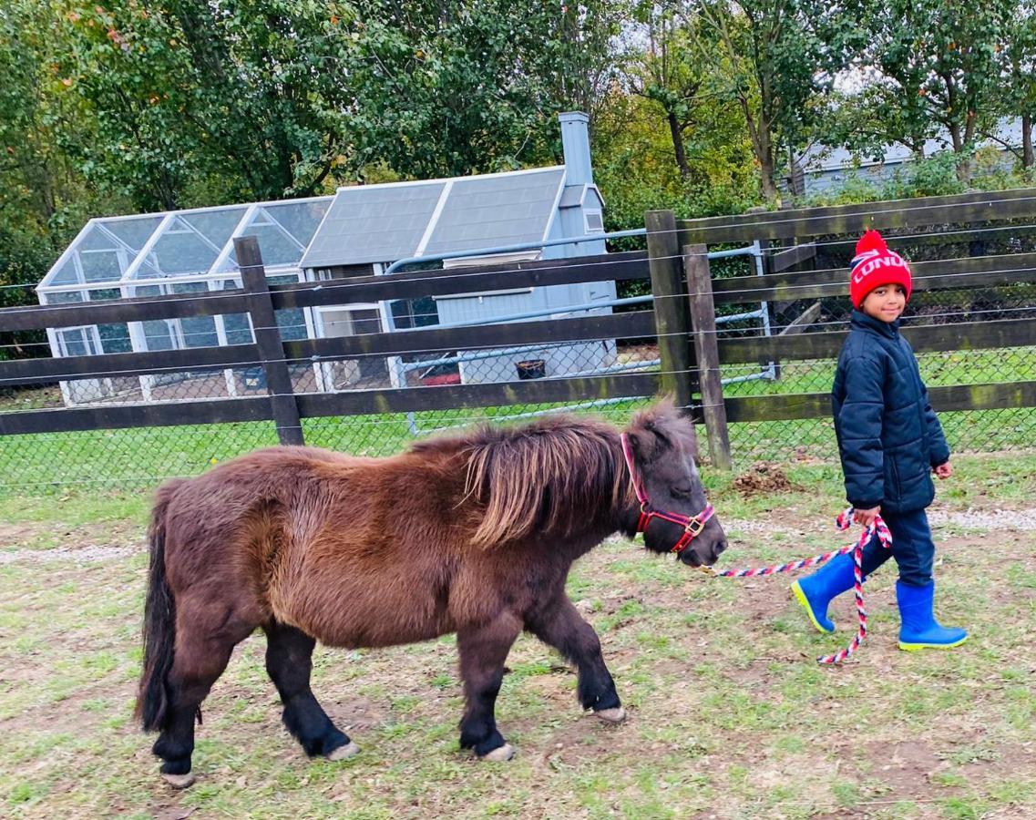 Farm Stay MAPLE Cottage at Wilindi Estate Tyabb Esterno foto