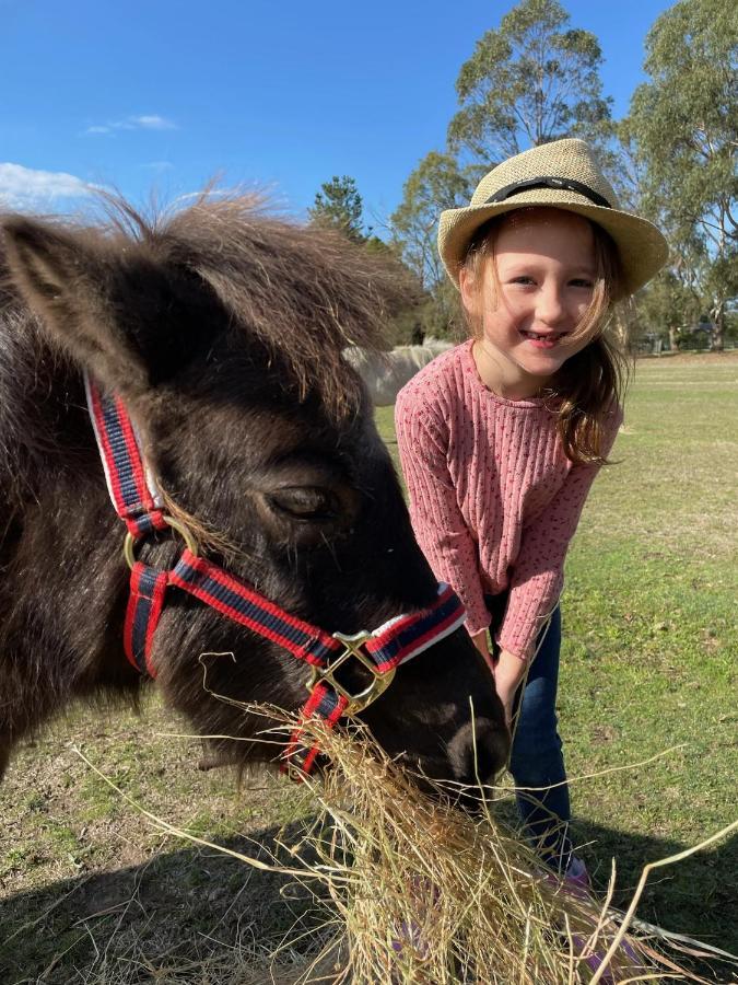 Farm Stay MAPLE Cottage at Wilindi Estate Tyabb Esterno foto