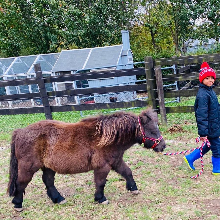 Farm Stay MAPLE Cottage at Wilindi Estate Tyabb Esterno foto