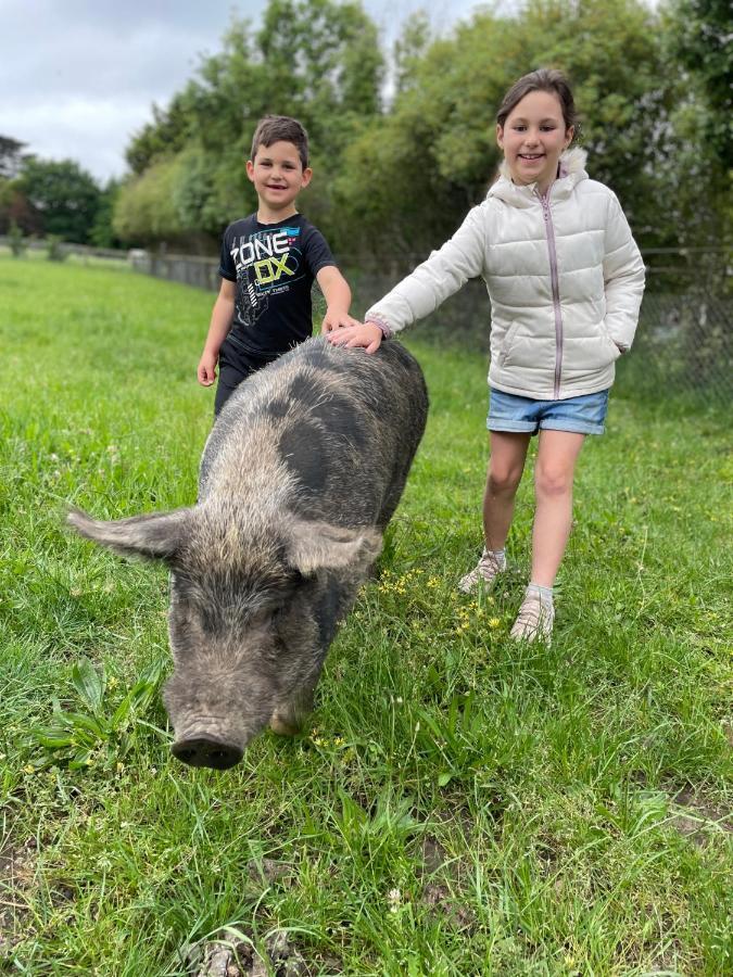 Farm Stay MAPLE Cottage at Wilindi Estate Tyabb Esterno foto
