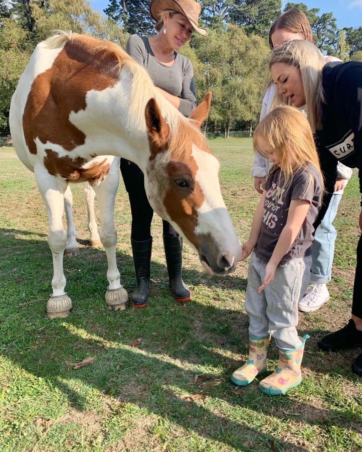 Farm Stay MAPLE Cottage at Wilindi Estate Tyabb Esterno foto