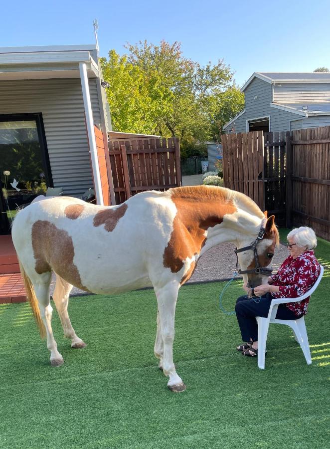 Farm Stay MAPLE Cottage at Wilindi Estate Tyabb Esterno foto